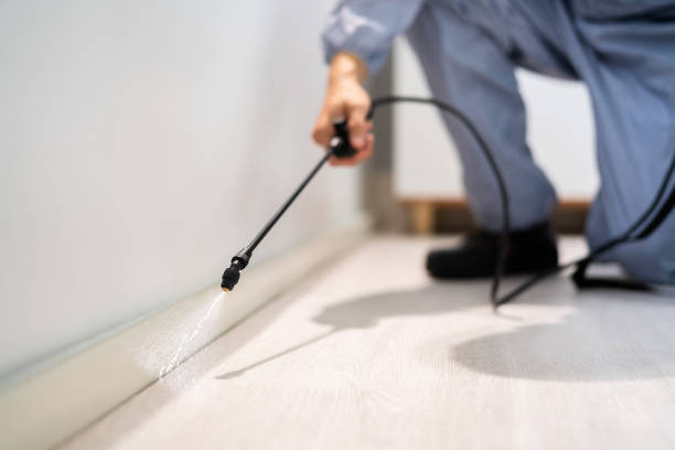 Bed Bug Pre-Treatment Preparation Assessment in Amite City