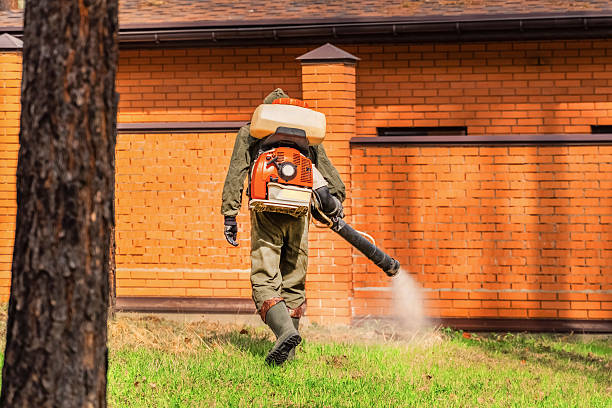 Bed Bug Clearance Verification and Documentation in Amite City
